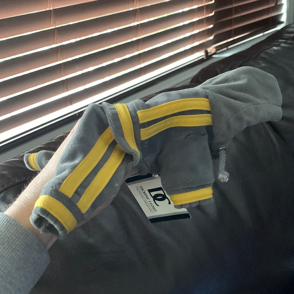 Tracksuit for tiny dogs. Never used. Still has tags
